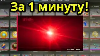 EVERYONE WHO WATCHES THIS VIDEO WILL RECEIVE A CS2 SKIN! I tested a CS2 bot that gives knives!