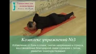 № 3. Гимнастика для позвоночника Михаила Милованова (фильм №3)