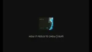 5 Gum.mp4