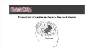 Психология трейдинга. Как стать успешным трейдером. Часть 1