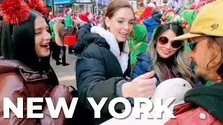 Wrinkle the Duck New York Christmas Best scene 4K HD