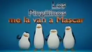лос пингуинос? 🐧 (KAWAZAKI, CAGO, KRICO, ESTRIPER)