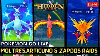 🔴 Legendary Birds Raid Hour Live