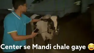 Center Se Mandi Chale Gae | Vlog | Mandi 2024