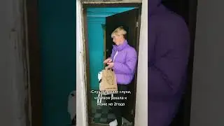 #жиза