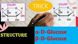 Haworth structure of Glucose || Trick || Dr. Bharat Baria