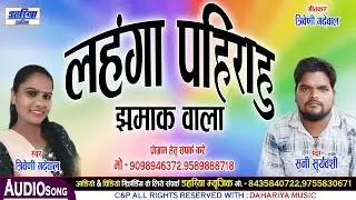Lahga Pahirahu Jhamak Wala - लहंगा पहिराहु झमाक वाला - CG Song - Sani Suryavanshi Dahariya Music