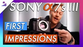Sony a7s III First Impressions- After Filming 3 Weddings (and 1 WARNING)