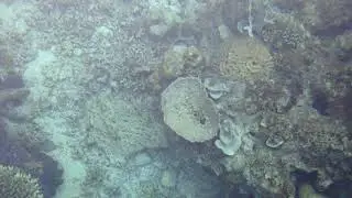 подводный мир