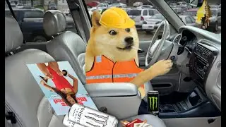 Doge makes an honest living