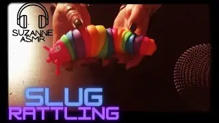 #031 ASMR Video ~ Rattling slug sounds | 8mm themed ~
