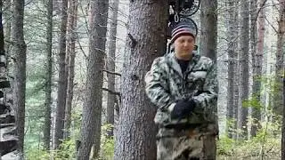 Установка кедротряса