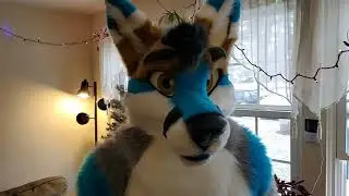 Made Fur You Fursuit Fenris unboxing part 2 Reveal.