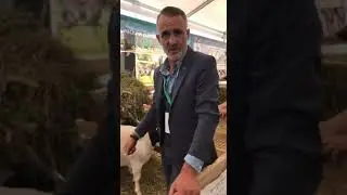 Наш постоянный покупатель делится своими впечатлениями об использовании премиксов от АСКОР
