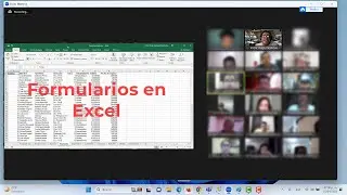 Formularios en Microsoft Excel