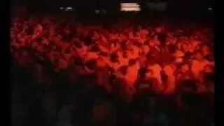 Rave Phantasy Reigate News Clip