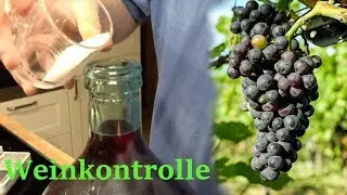 Making your own wine / wine control, adding sugar to wine
