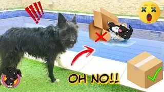 NO empujes LA CAJA INCORRECTA / Recopilatorio Retos Lana