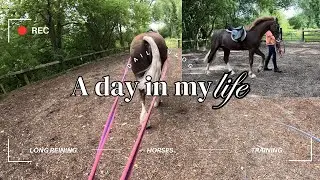 A DAY IN MY LIFE AS AN EQUESTRIAN WITH 5 HORSES | HORSE VLOG