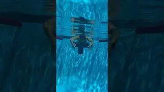 Best swimming drill you should do everyday