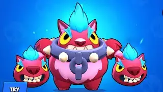 Cerberus Tick!