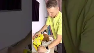Не оплатил счета - в приют 🤓 