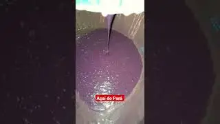 Produção de Açaí do Pará