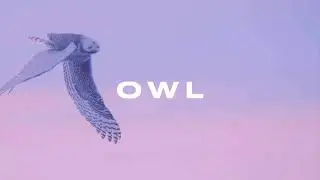 FREE DARK Loop Kit / Sample Pack - OWL (Travis Scott, Cubeatz, Pvlace)