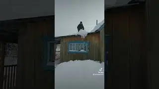 вот опять окно, где опять не спят .#мыдеревенские