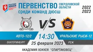 Авто-Спартаковец 2012-2 (Екатеринбург) - Уральские Рыси (Реж)