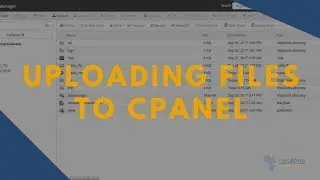 Uploading Website Files to CPanel