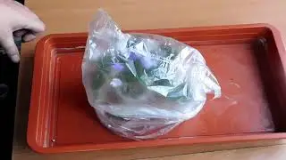 Пересушили ? Что делать?