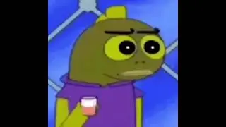 Bruh Moment