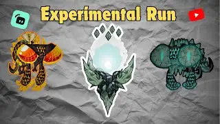 Experimental Run 4
