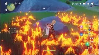 Genshin Impact invisible enemy