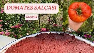ODUN ATEŞİNDE GÜN GÜN SALÇA YAPIMI 🍅 #domates #salça #organic #doğal