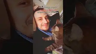 Поблагодарите ваших питомцев за любовь и поддержку