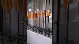 Köyde Hayat Var