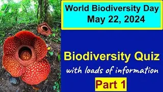 Biodiversity Quiz 2024 | World Biodiversity Day | Environmental Quiz | Do you know these facts?
