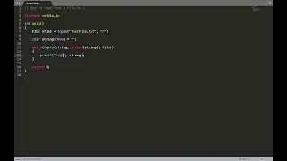 How to read a text file in C