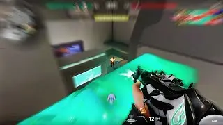 "He is a Sage main"
