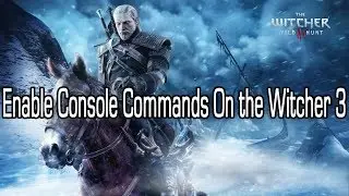 How To Enable Console Commands In The Witcher 3: Wild Hunt