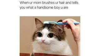 Spicy memes 66