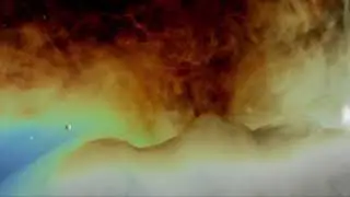 Malick impression_Tree of Life
