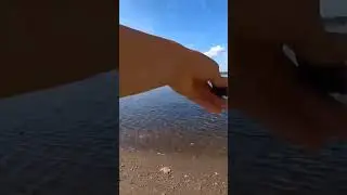 Сентябрьский толстый лэщ 🎣 