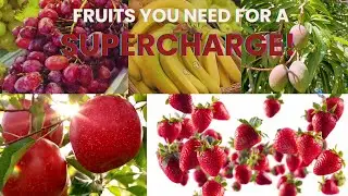 Top 5 Fruits In The World | Top 5 Fruits For Health | Top 5 Fruits To Eat | AdaptiVids