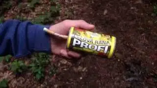 Delova rana profi