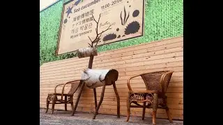 Единственный в мире Музей Трепанга