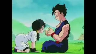 MAITRO - VIDEL ビーデル