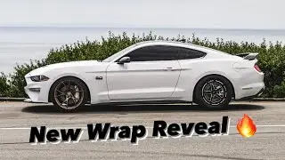 2021 Mustang GT New Wrap Reveal!